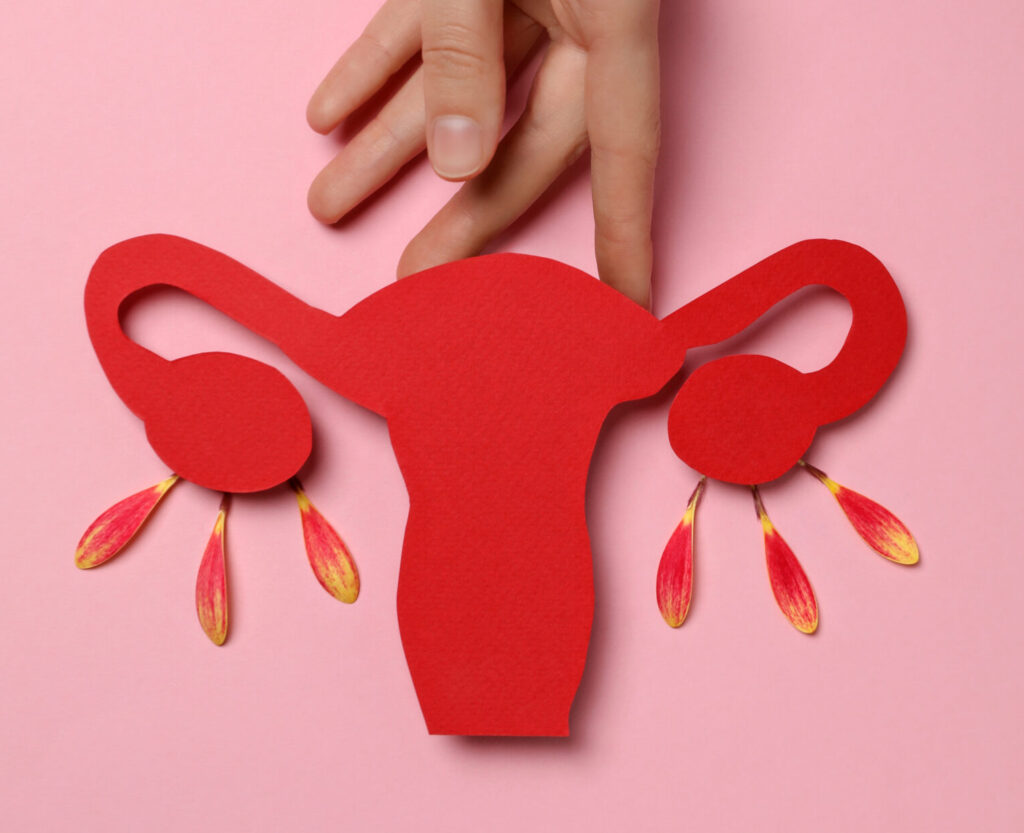 Female reproductive system